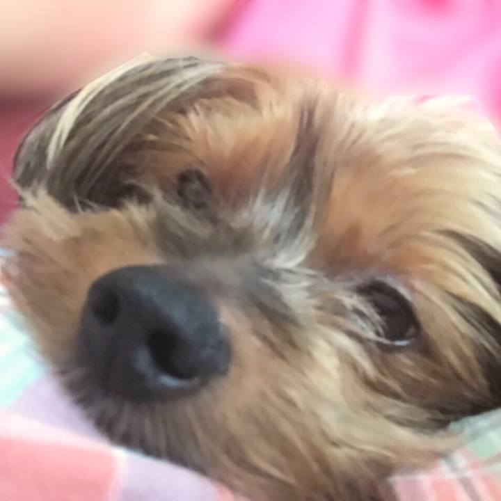 1abbcf2e 26da 4e62 b029 3def7fc306ee