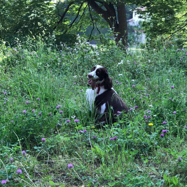 1abc900f 4cc6 43a0 8fdf 27a756f4088e