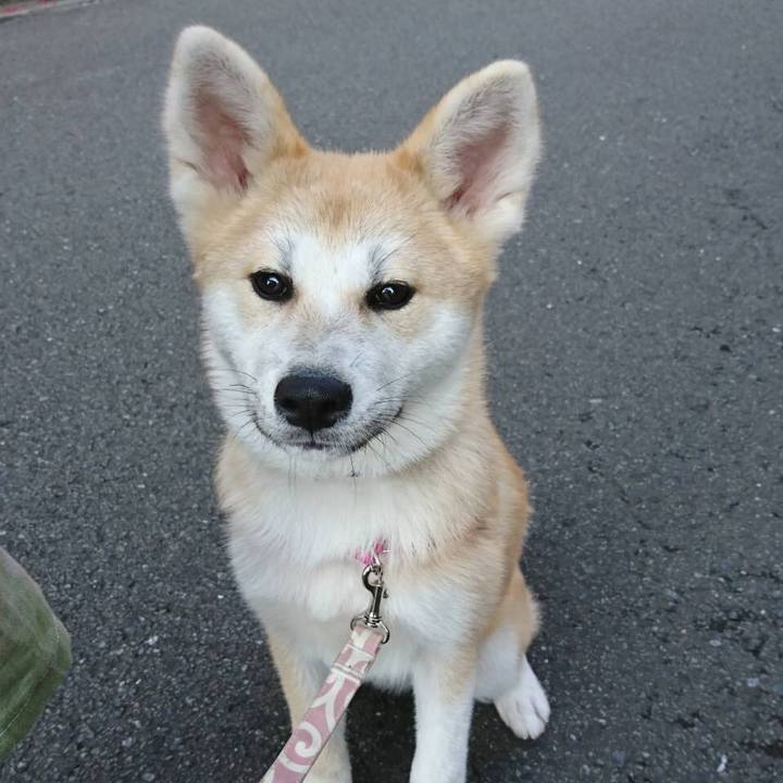 1abcc404 5efa 4946 afce 6c03c7af8737