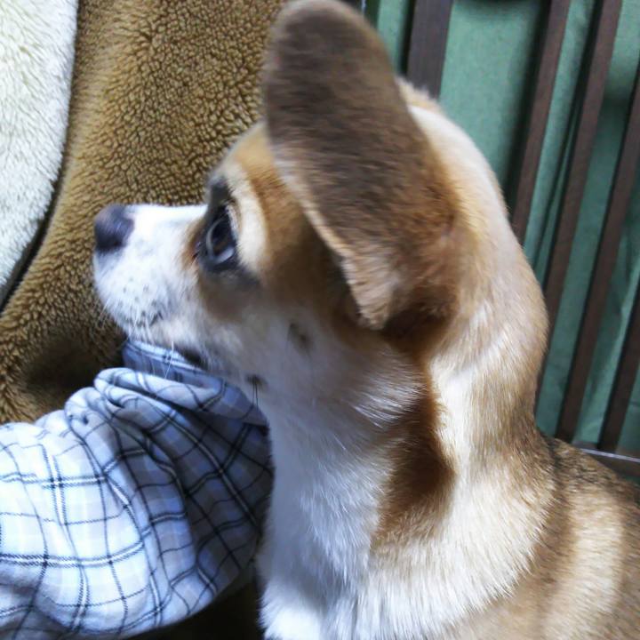 1abcd0cc 3a61 4baa ab42 eda93f1e2e72