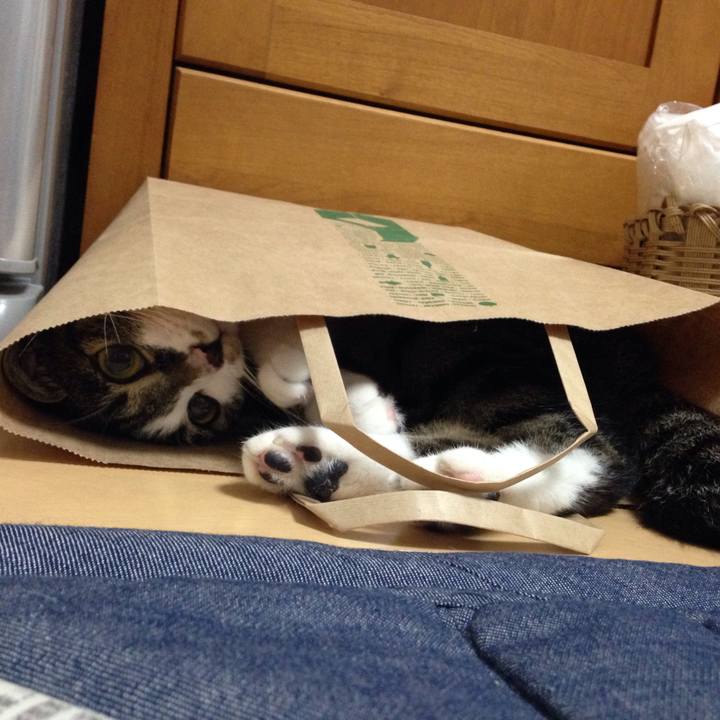 1abe43a4 9b5c 4826 8954 714737df86d1