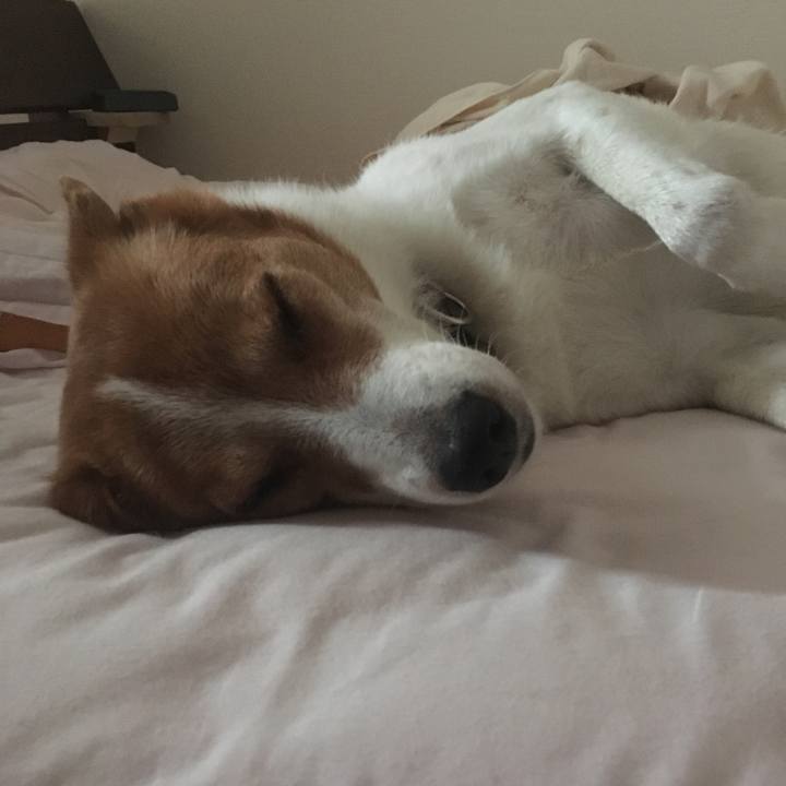 1abeada2 94b6 456e 9c58 9eb9e89d8c12