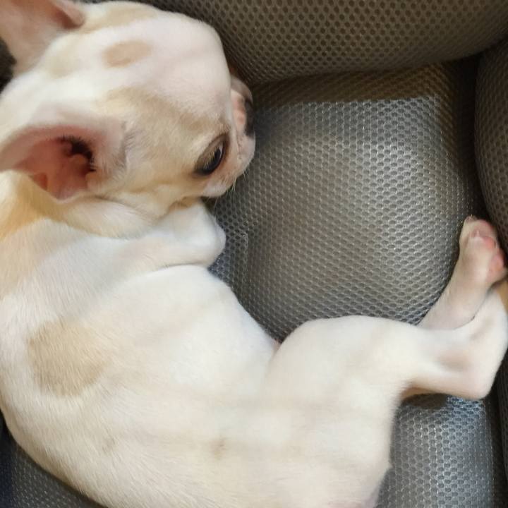 1abee269 74a4 48c2 ae78 c6bb30d29a9c