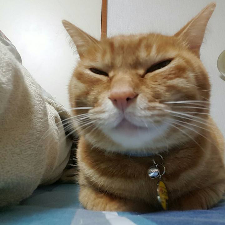 1abee972 87fd 460a bca5 9e54d6688e39