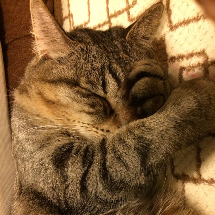 1abf2810 3de6 4bcc 857a 6decf1e6df74