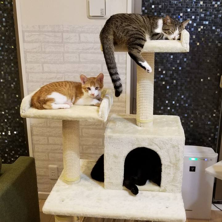 1abf38a4 58a6 4581 9a60 fdd6e9fa5723