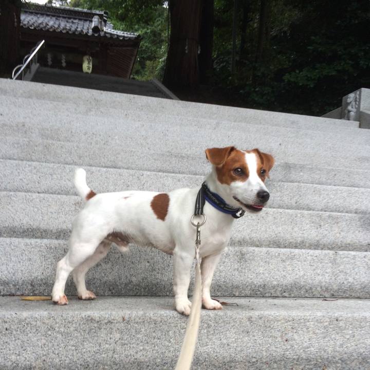 1abf5dd2 77cc 40ce 8f9b 546c14c83398