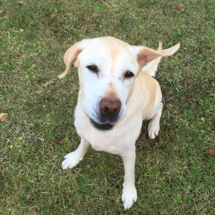 1ac0c473 63ac 489b 8bf2 2fb0d51db3eb