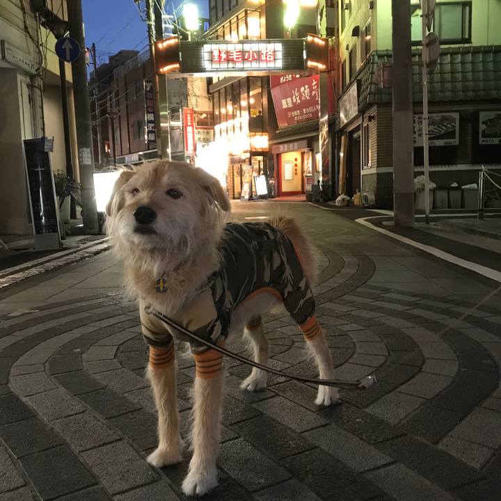 1ac196e5 24f9 4f3e a979 e583535eb8c9