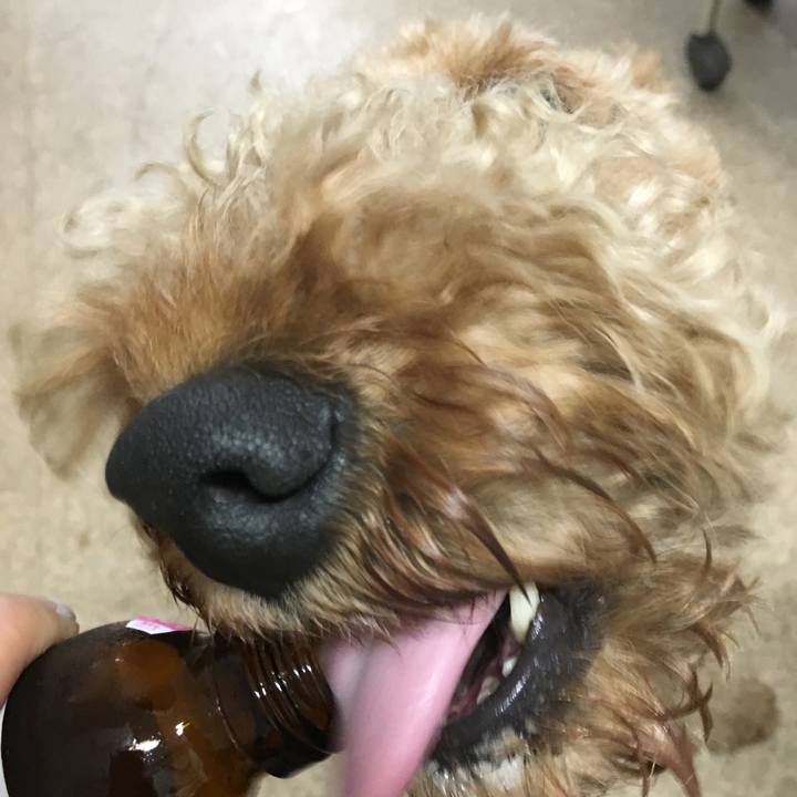 1ac2218a a511 4ec9 8b84 1bab0594c7dc