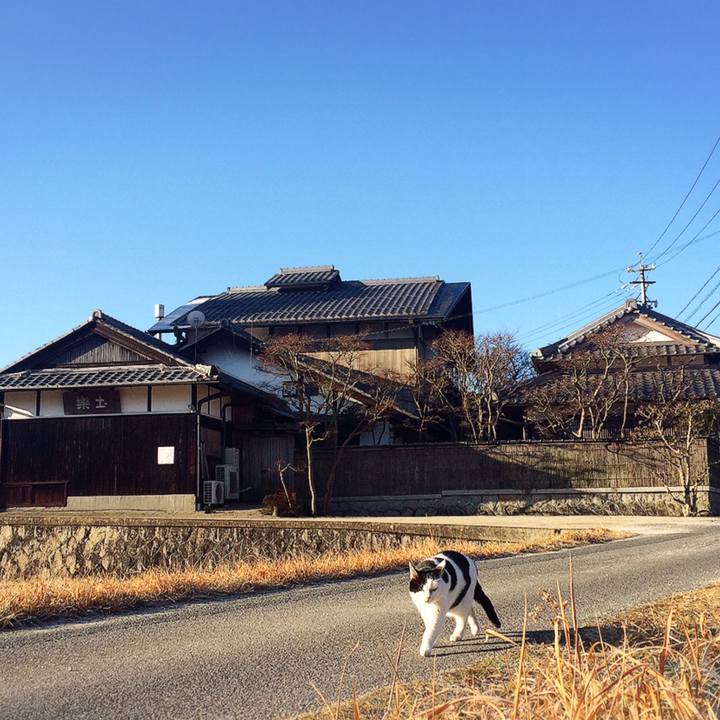 1ac2510a 8879 40e3 9275 5414e5b2b4fa