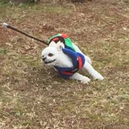 1ac29a79 d884 4719 90b1 e0fdb491f638