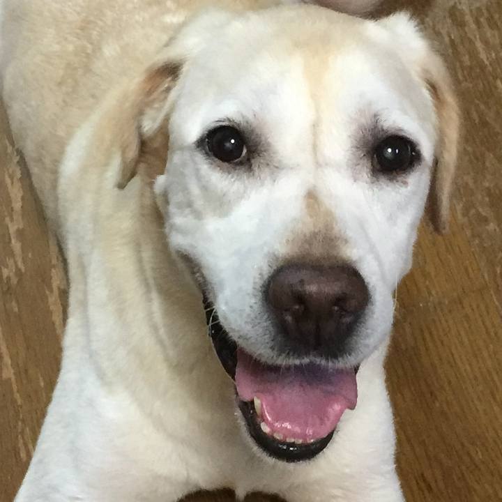 1ac2bded d447 4192 bd15 ebe686c2858e