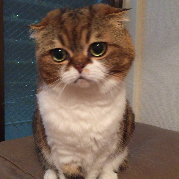 1ac33313 e5cd 4dc1 bf4a fd2baa678cd7