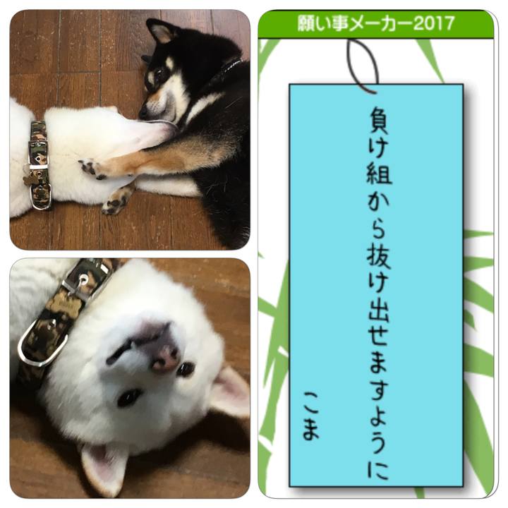 1ac37834 457a 4730 b62c b70f162f0896