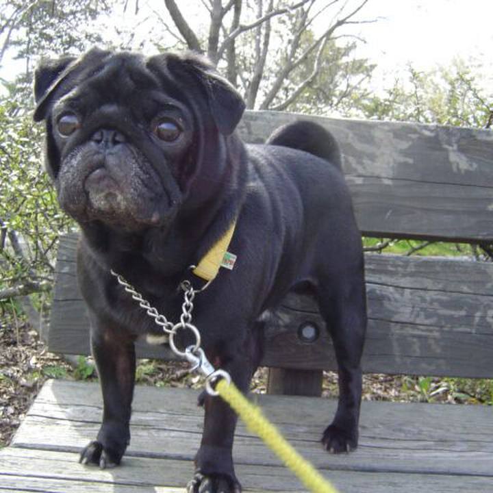 1ac3b081 57ff 4312 886a 9d6e41e32fbb