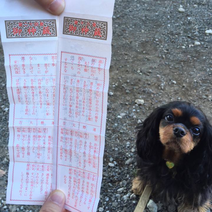 1ac3b4a6 5bd3 4bfb a8ff 622aa10dc8fd