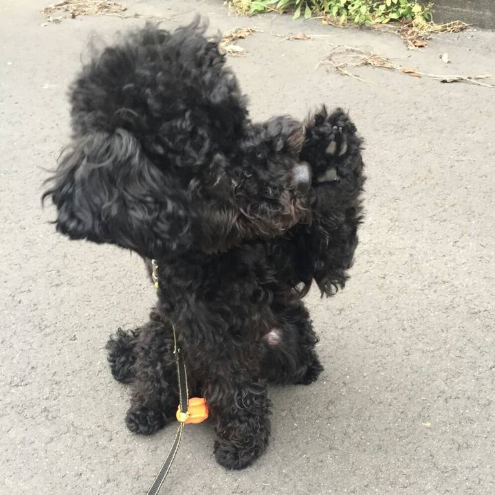 1ac3eb09 a7d7 495b 9cbc d1c2f92f90b4