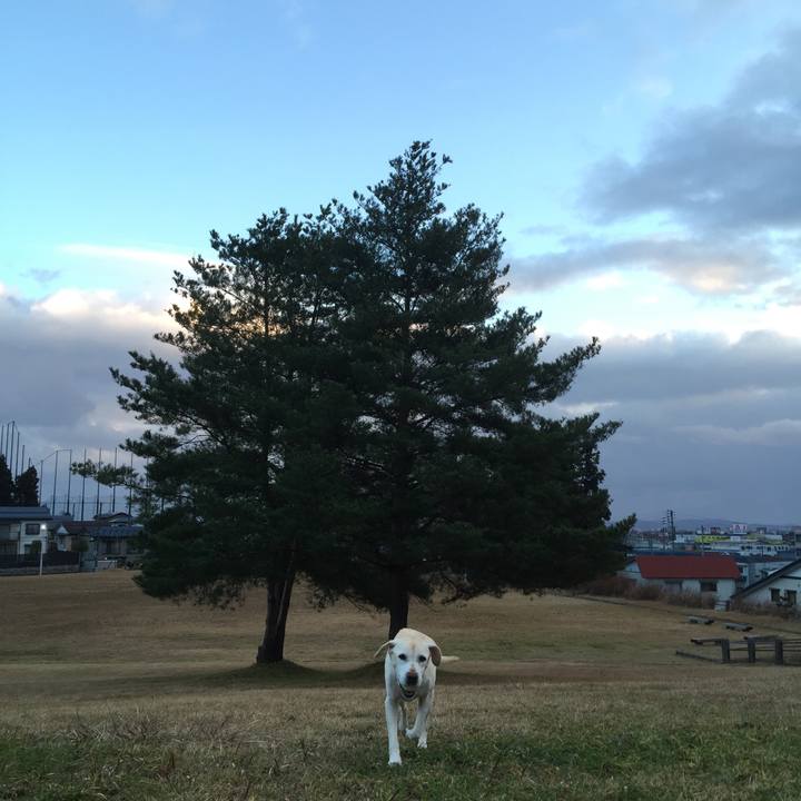 1ac40176 a0f5 4f16 87a6 3a9a0804627a