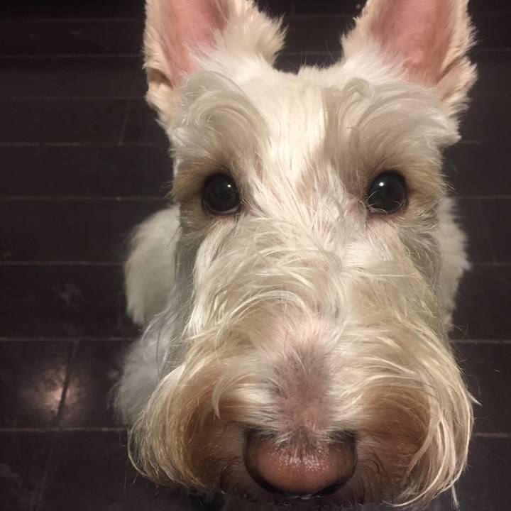 1ac44ca7 122e 4e75 b252 a9692b773244