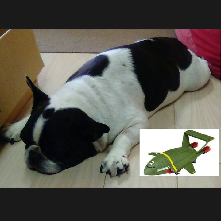 1ac4a39a b631 4557 a482 d27621f1cd6e