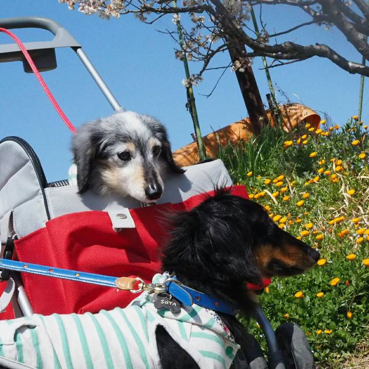 1ac557da c43d 4cdf 89f1 6b7362d952a2