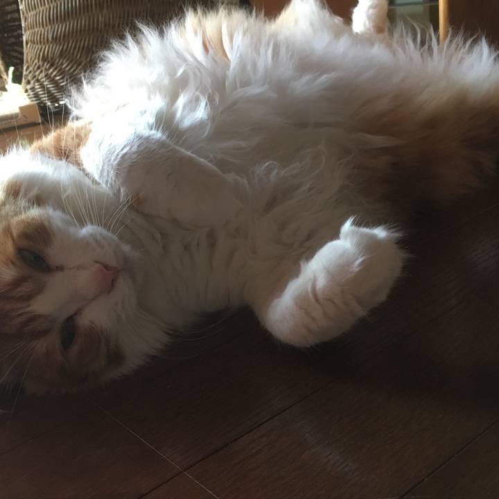 1ac5e5ef f6b6 46aa a5ec f08fba370350