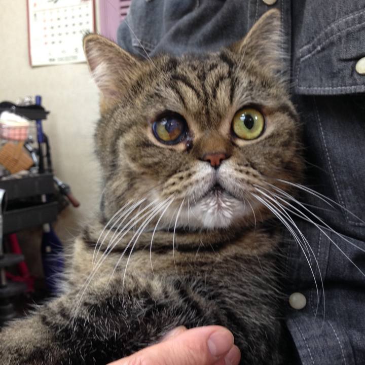 1ac683ba a50b 4505 b59c 74cd825b46cc