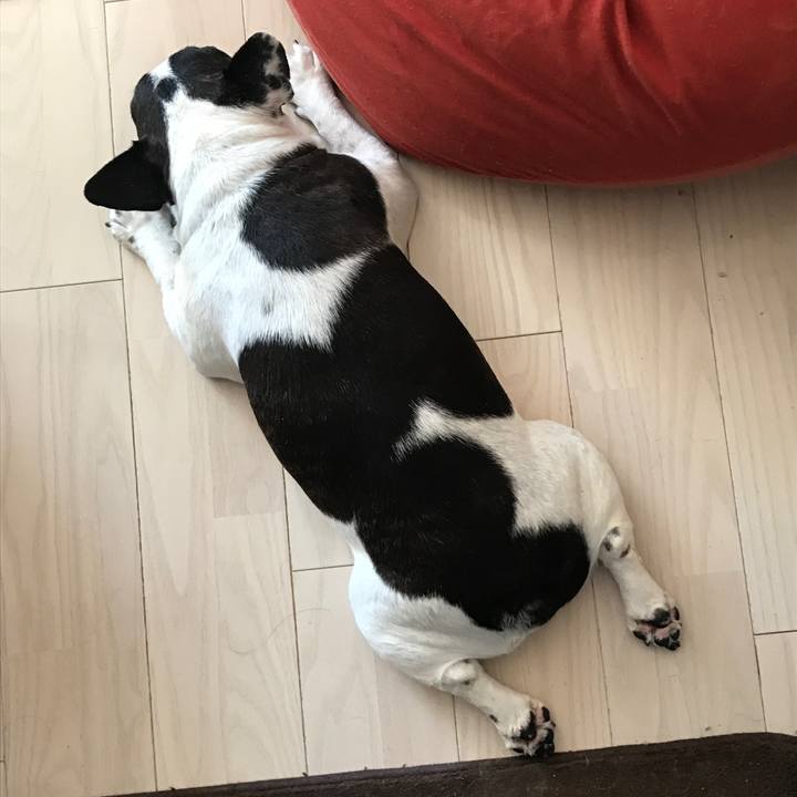 1ac6d009 5fb4 4d92 9c2a c36f903e9593