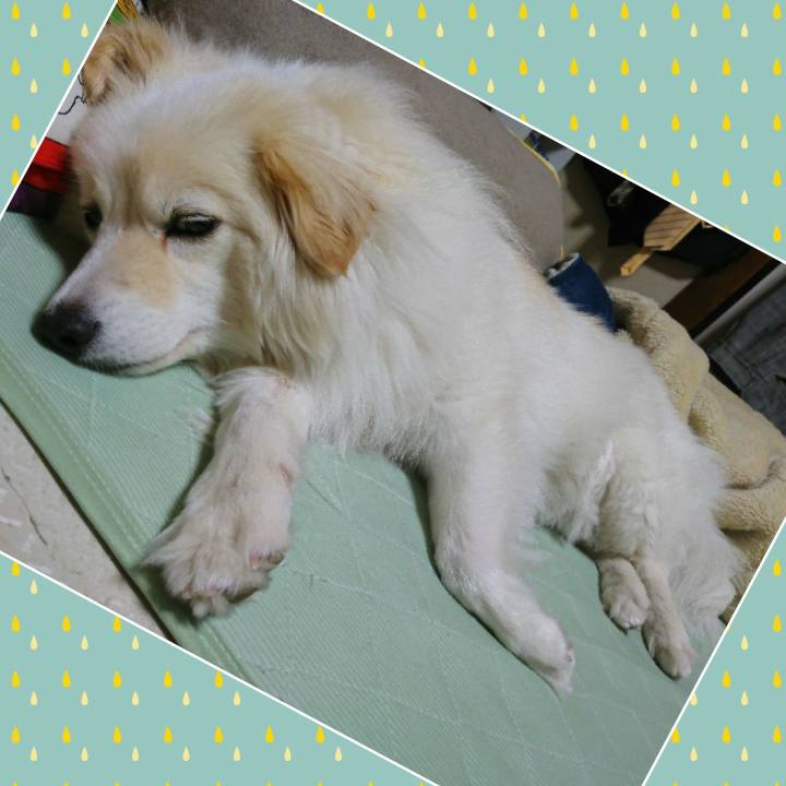 1ac76e2e b7ea 47ff 8d01 8dfd9d87bf17