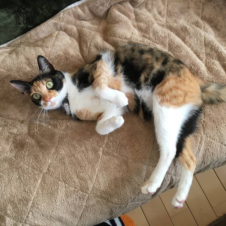 1ac89d82 9b3f 46b1 b15c b661bb1cc5fb