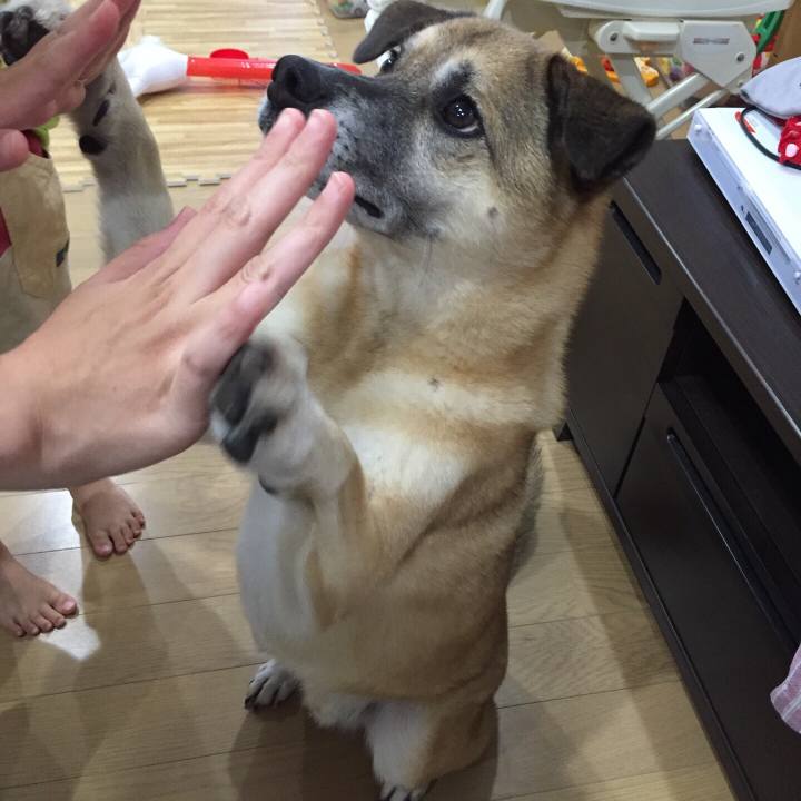 1ac8f5d1 17b9 461e b8a6 818e7eacdd6f