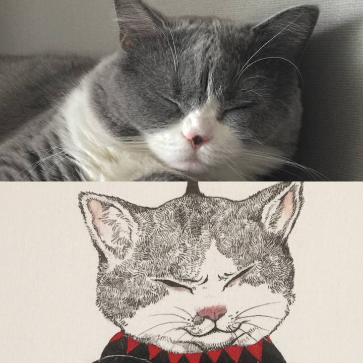 1ac9060b 103d 41d4 808d 9640dceca91c