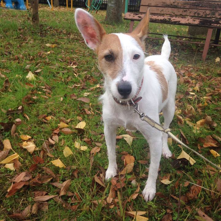 1ac919c0 3d4a 46d9 a92c 17381b0393e8