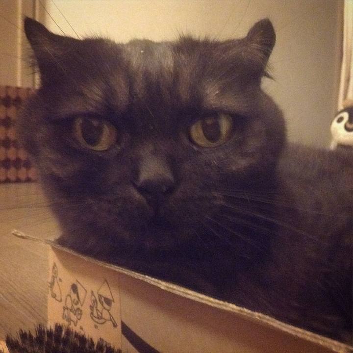 1ac94126 22b8 44df adc8 d10cef88de81