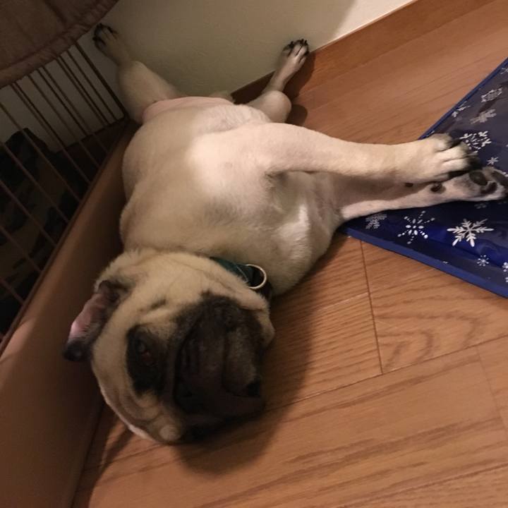 1ac94c91 e76e 4a25 bc50 ed5af58e6a35