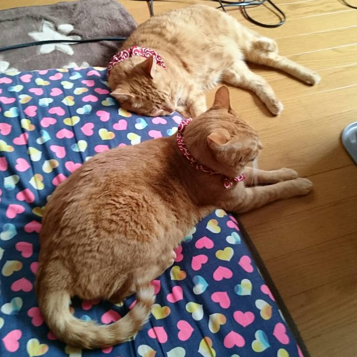 1ac975ef c022 4dae 8bea 23e67776659f