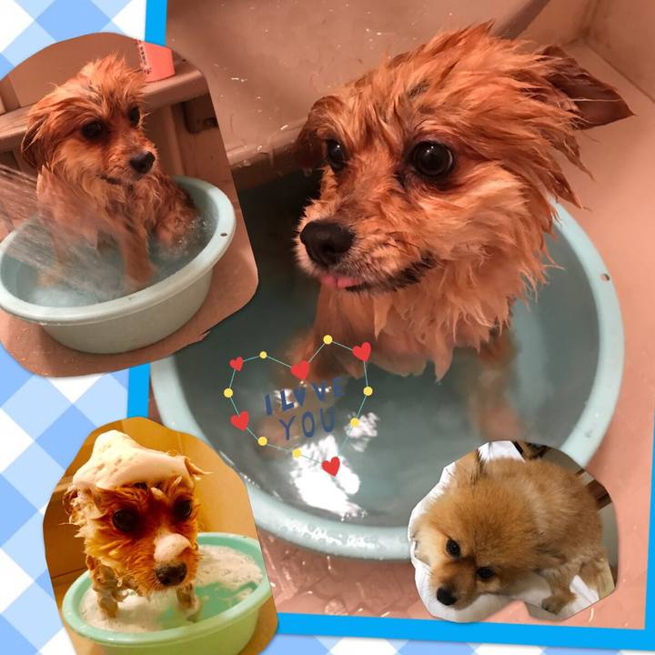 1ac9a513 017c 48a1 8caf 0698aa6a1526