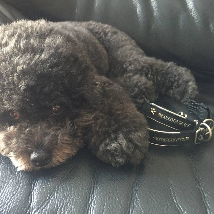 1ac9c47f e6a5 4175 8406 470dfe6b4711