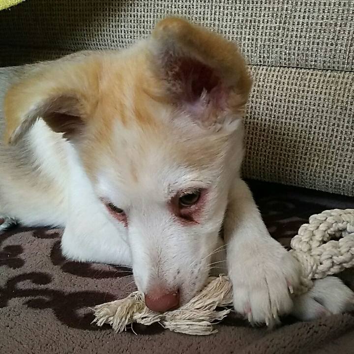 1ac9e18c d463 4af0 b4d3 6e103785e1e9