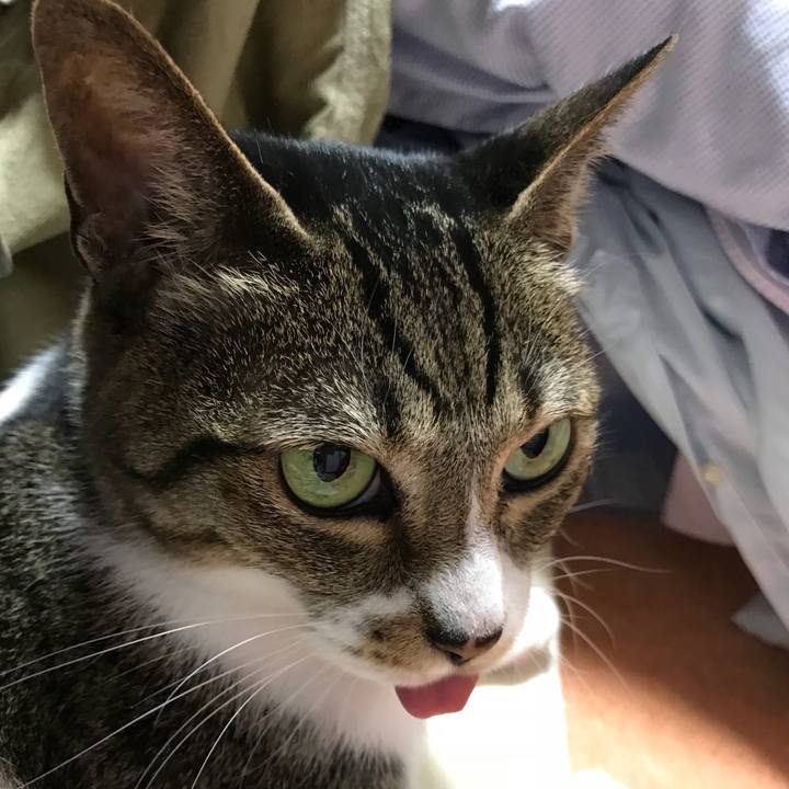 1ac9fd54 4b82 4187 a5cc cb920197b5da