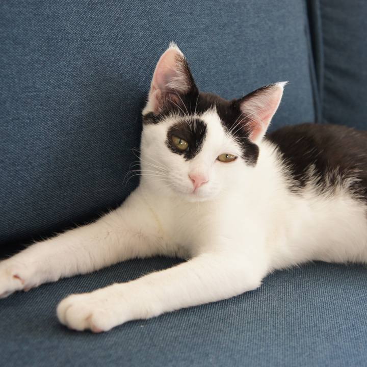 1acb1a3d 0828 4f22 9bab 5fd6dfa2762f