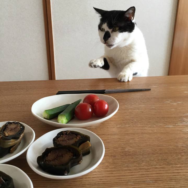 1acb82a8 3fac 4d44 b131 ae9fc010d2e6