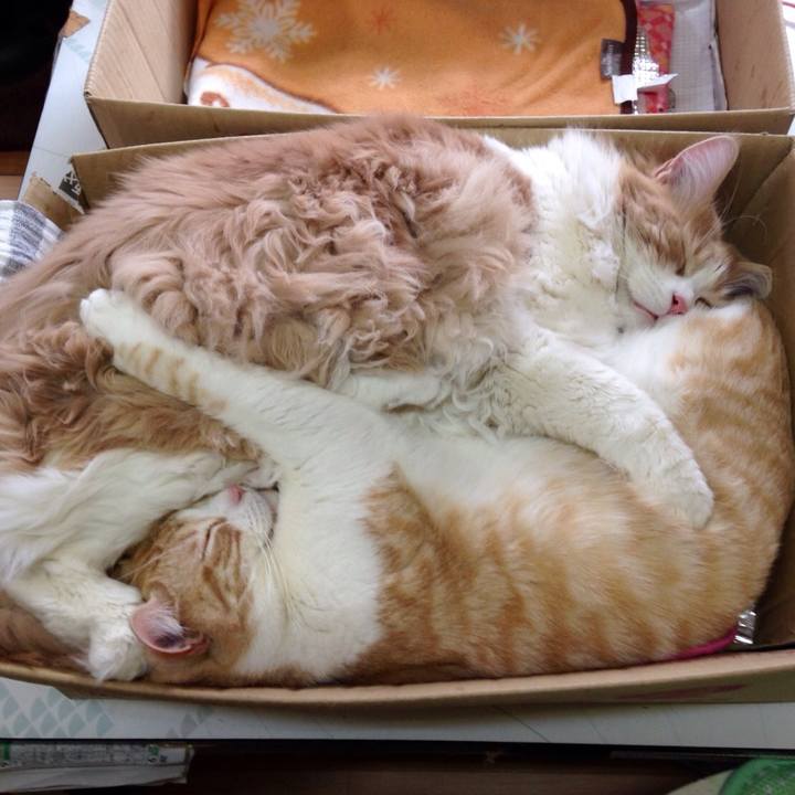 1acbb0cd 3d6c 4663 932b 061e53292a56