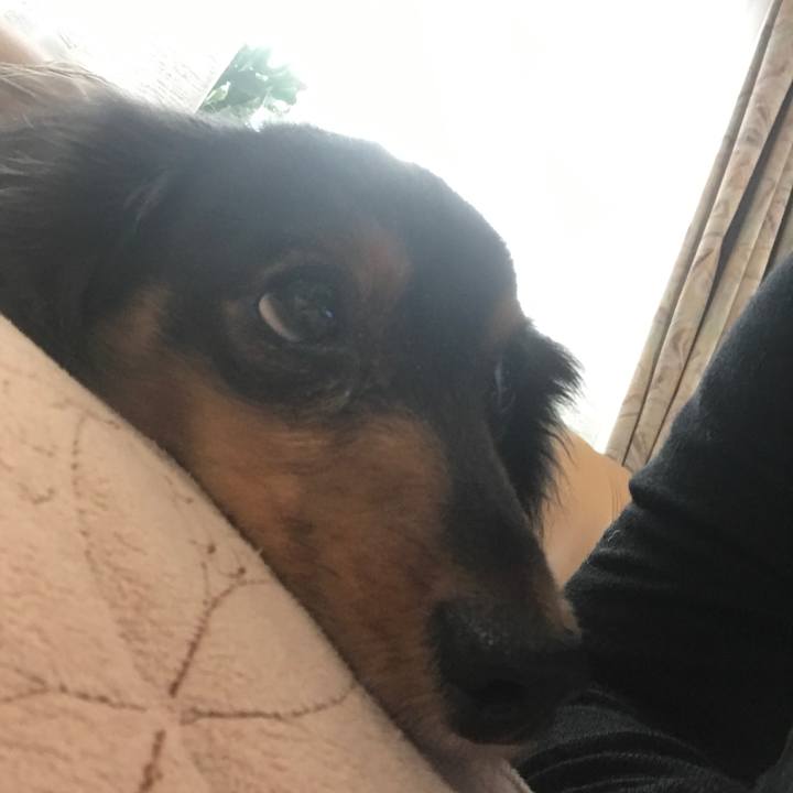 1acbd1ff 98ad 4f5e 91ca 68bb07617b45