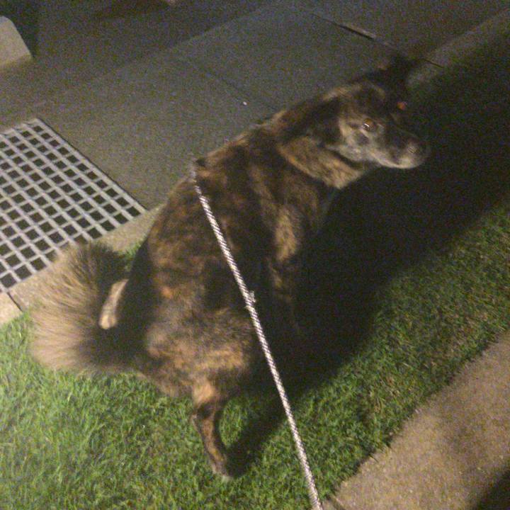 1acc6695 f225 487c 8672 627bf3e5ed1a