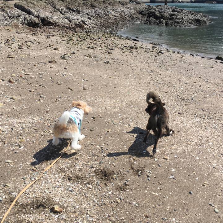 1acc9b9b d7a2 4a6f ab50 36629f0ed27a