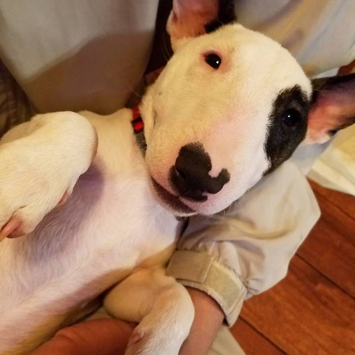 1accaf59 281e 400e 87b5 b947b0ed4be1