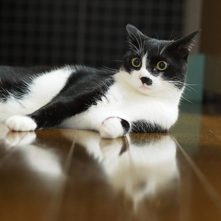 1acd3809 d546 4557 878b 73c06907fcd7