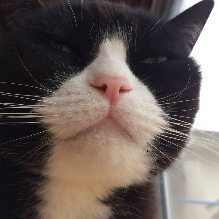 1acd492f 3ec8 4ea7 8e77 981bb1c0bc3c